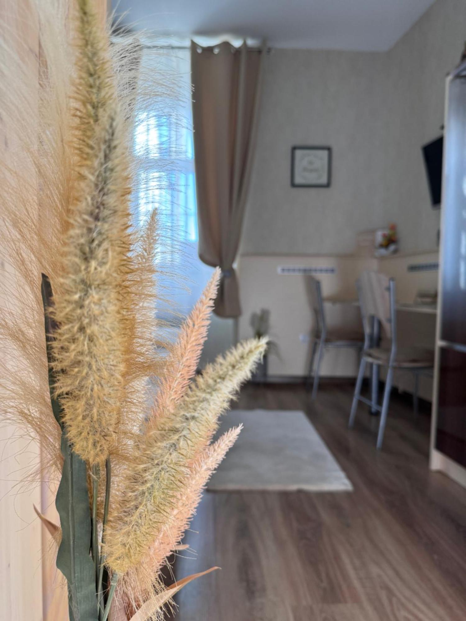 Apartament Safit-Mandala Mosonmagyaróvár Zewnętrze zdjęcie